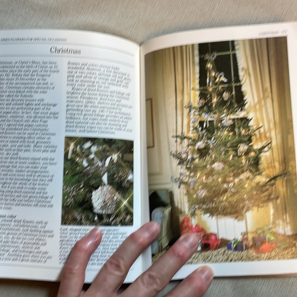 🌈2/$8  Flower Arranging - Picture 16 of 16